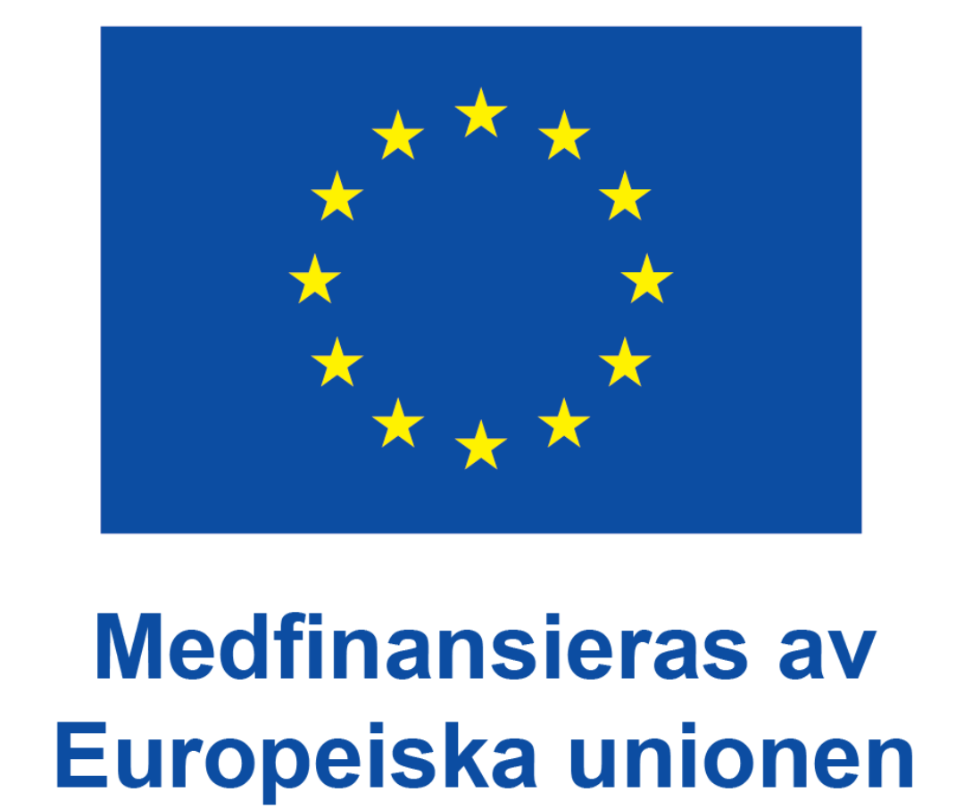 EU flagga (ny)